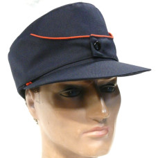 Palotoimenhaltijoiden kenttälakki m-36